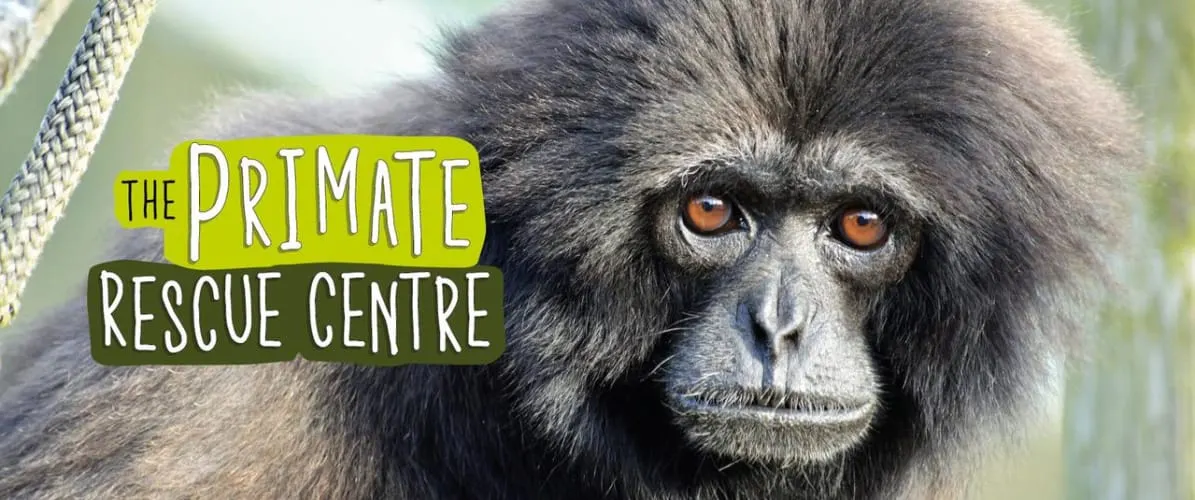 Monkey Haven - Primate Rescue Centre