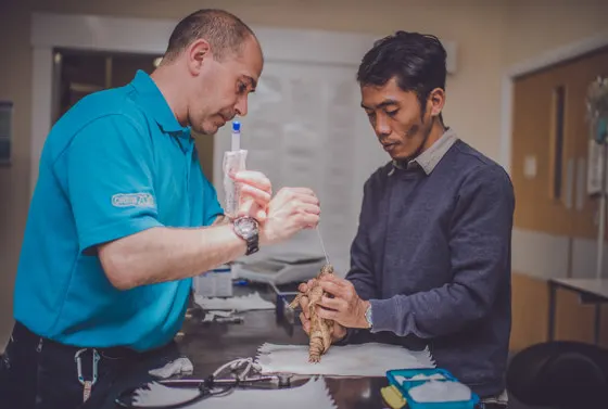 Staff member in blue shirt shows a reptile to a visitor indoors.