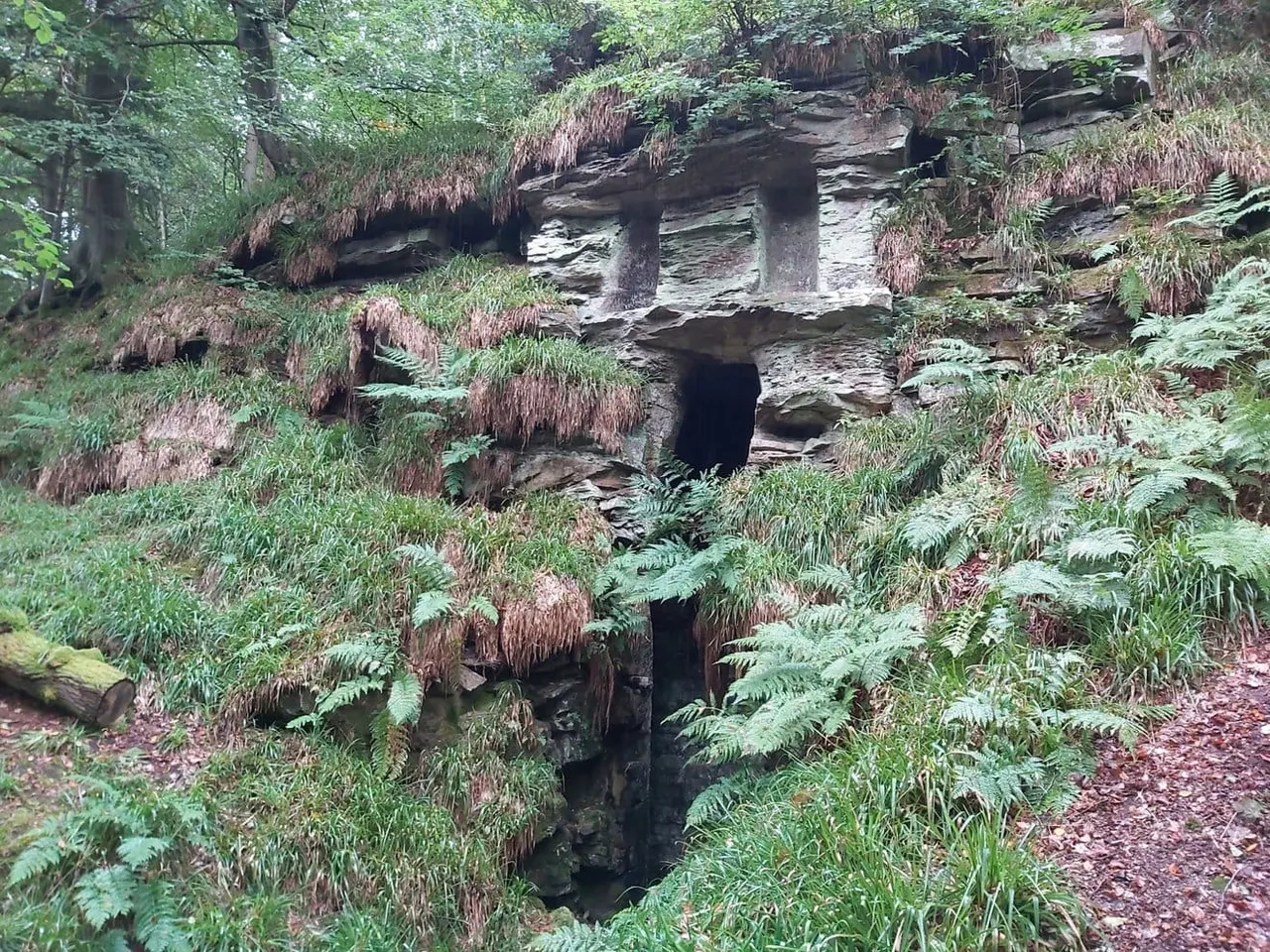 Moss-covered stone ruins with multiple dark openings nestled into a wooded hillside surrounded by ferns and vegetation.