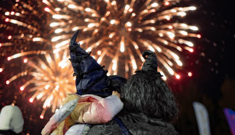 Adult and child watching fireworks display light up the night sky.
