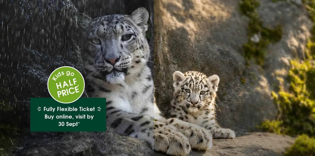 Marwell Zoo