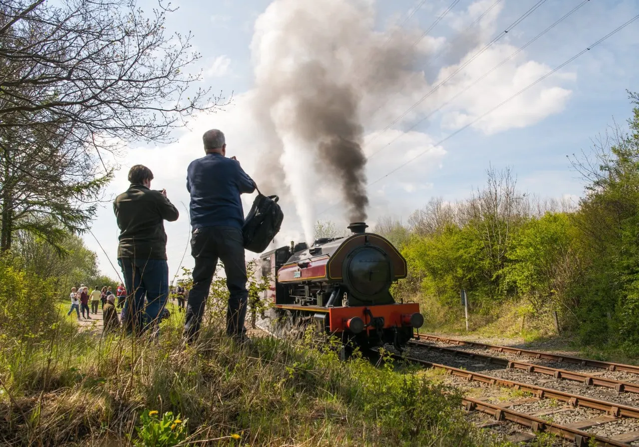 Visitors watch a steam locomotive billowing smoke whilst travelling on narrow-gauge railway tracks through countryside.