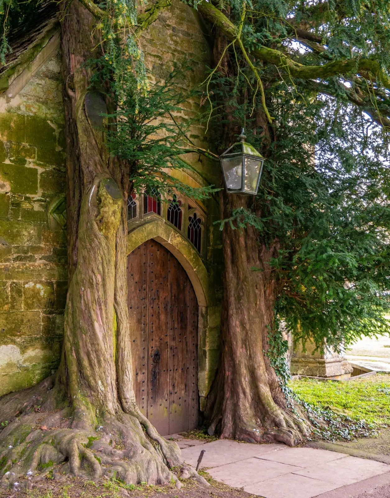 Historic stone church doorway built into the base of a massive moss-covered tree with ivy-draped walls.