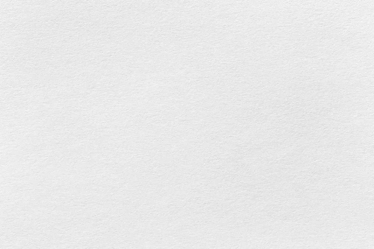 This image appears to be blank or completely white with no discernible content. I cannot provide meaningful alt text for an empty or non-visible image.
