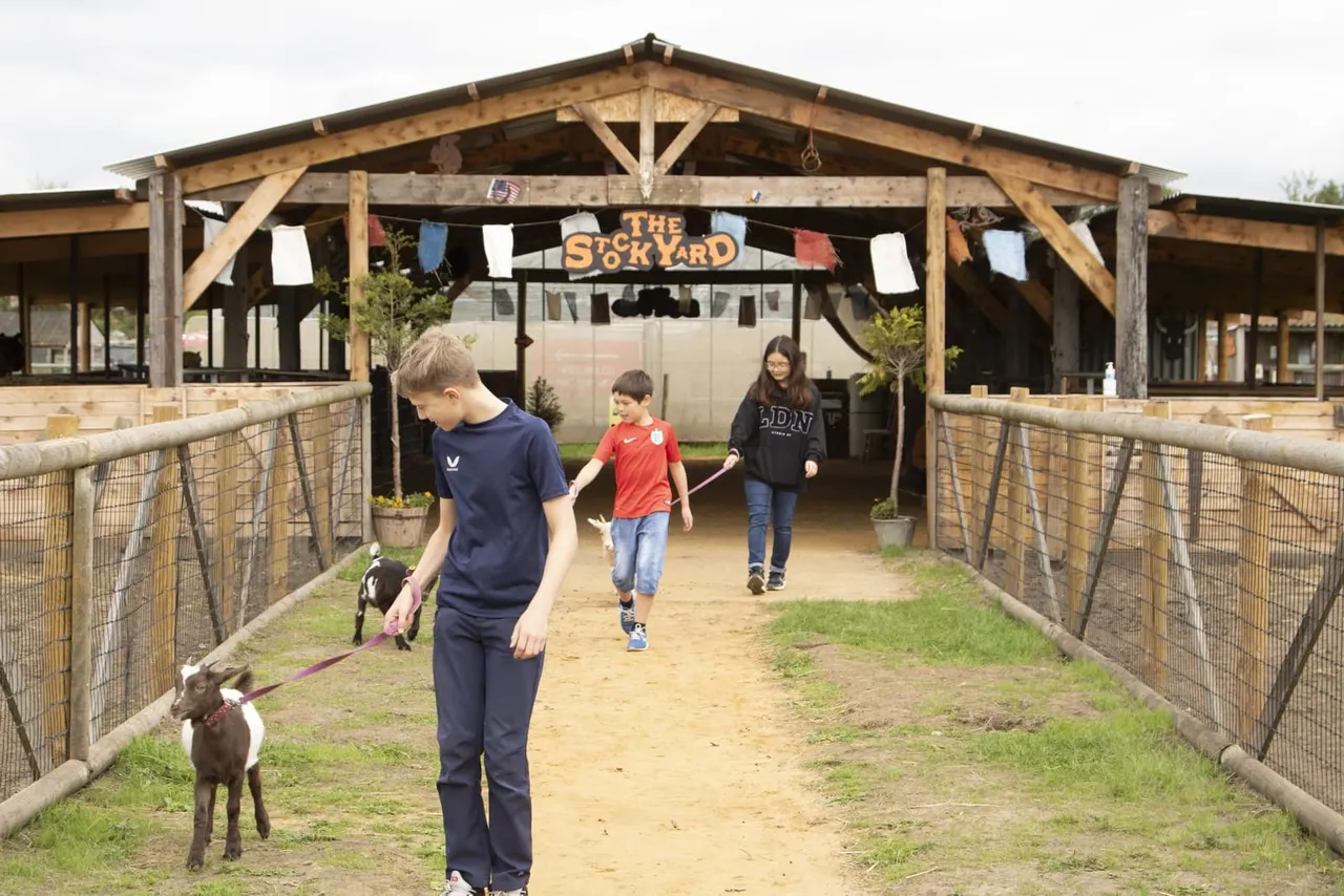 Children walking with goats on leads through a wooden farm building with "The Stockyard" sign.