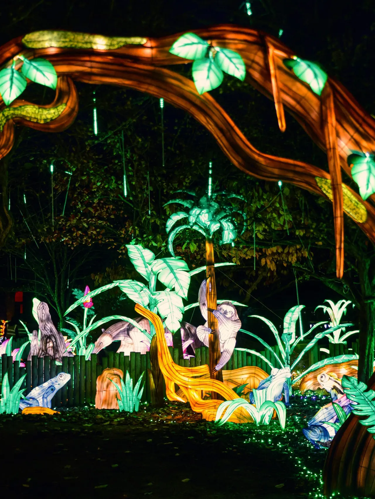 Amazonian jungle lantern display on Twycross Lanterns of the Wild trail