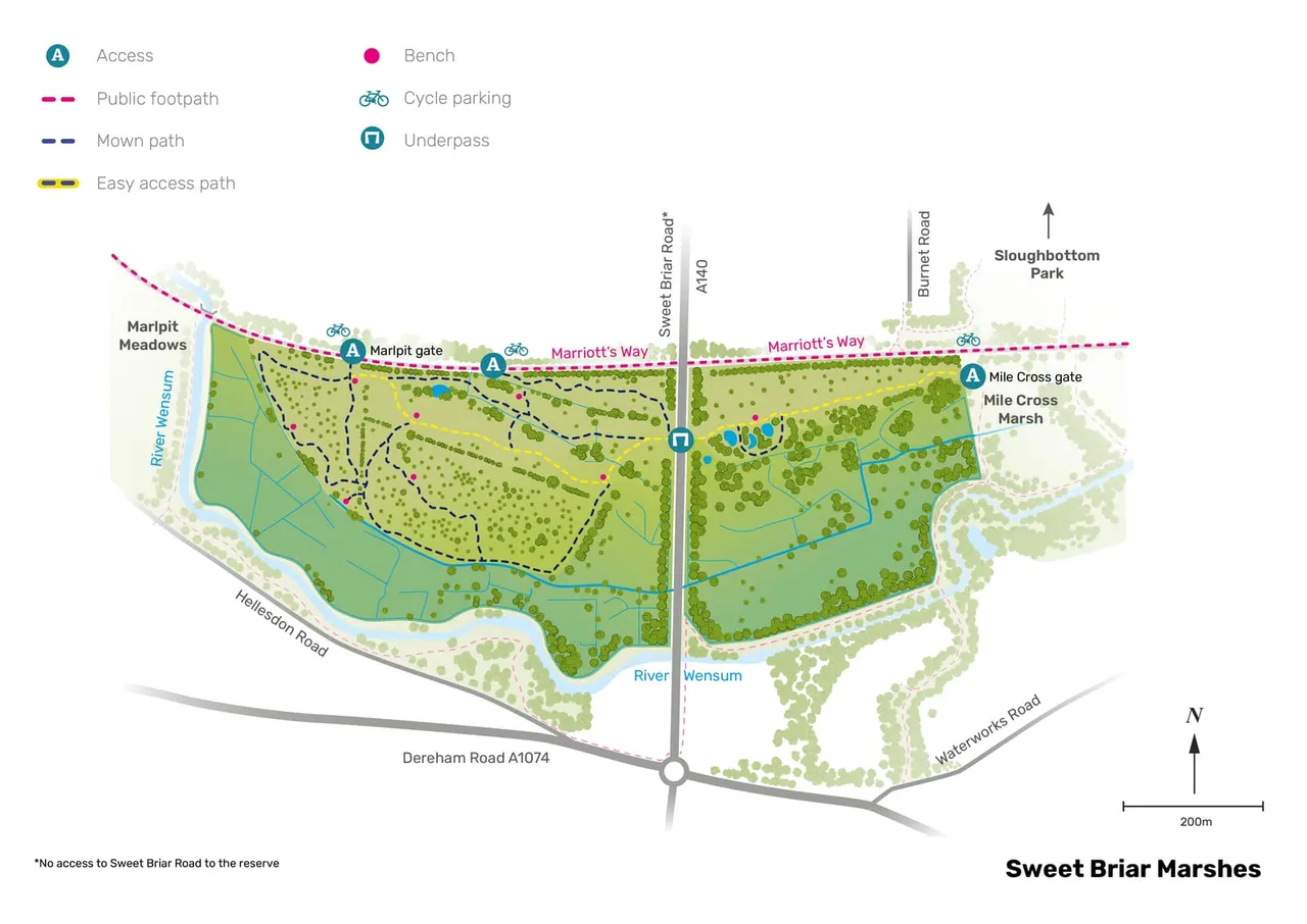 Norfolk Wildlife Trust – Sweet Briar Marshes