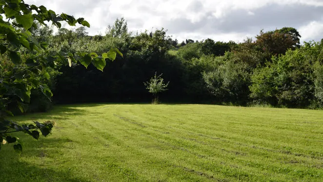 Spacious mowed grass field surrounded by dense woodland and trees under cloudy sky.