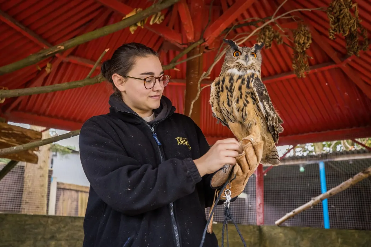 A young person wearing glasses holds a large bird of prey on a gloved hand beneath a red corrugated roof structure.