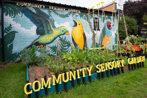 Colourful mural on a garden wall depicting parrots and plants, with raised planting beds and yellow signage below.