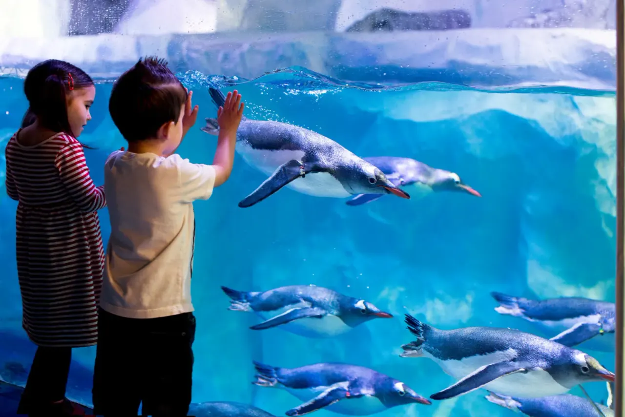 Kids with penguins at SEA LIFE Birmingham