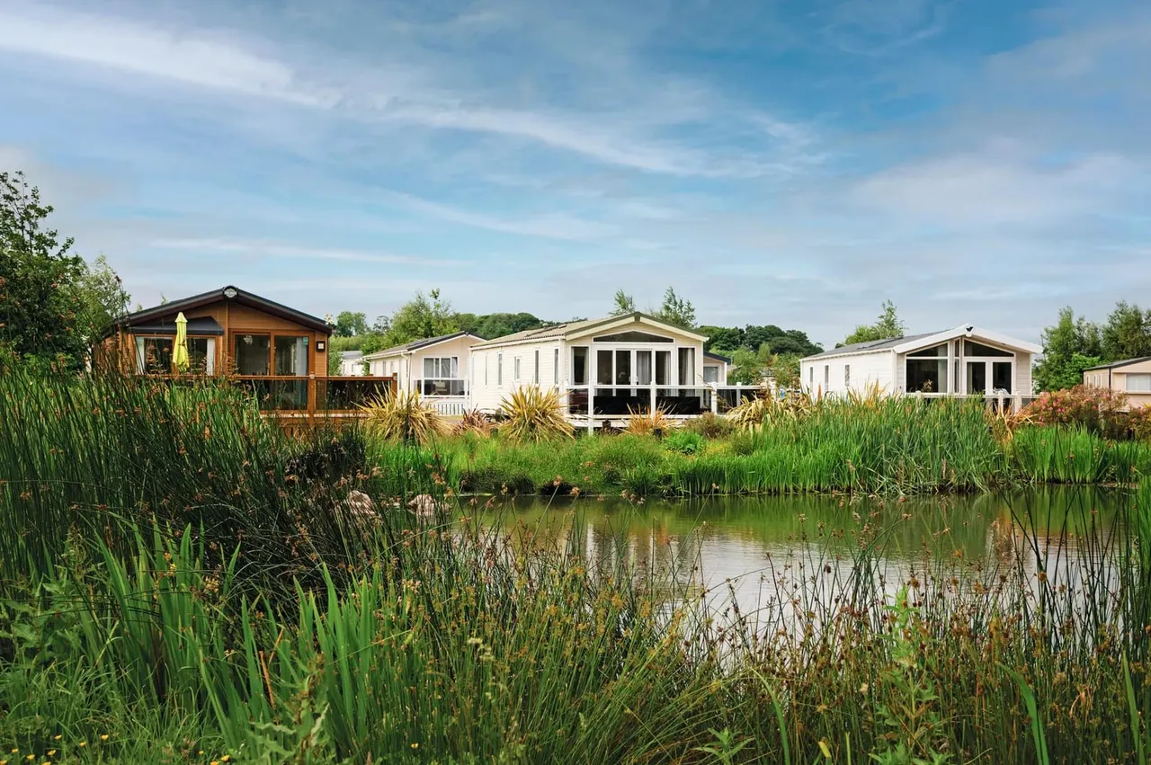 Mobile homes and lodges beside a pond with reeds, set amongst trees under blue sky.