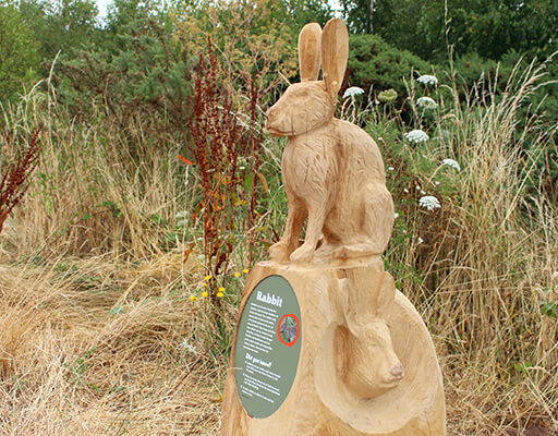 Gedling Country Park