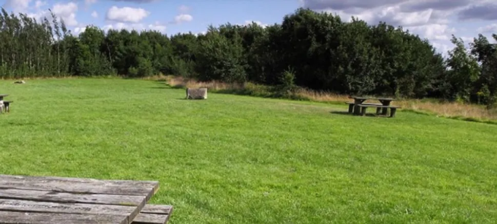 Open grassy field with wooden picnic tables, hay bales and tree-lined boundaries under blue sky.