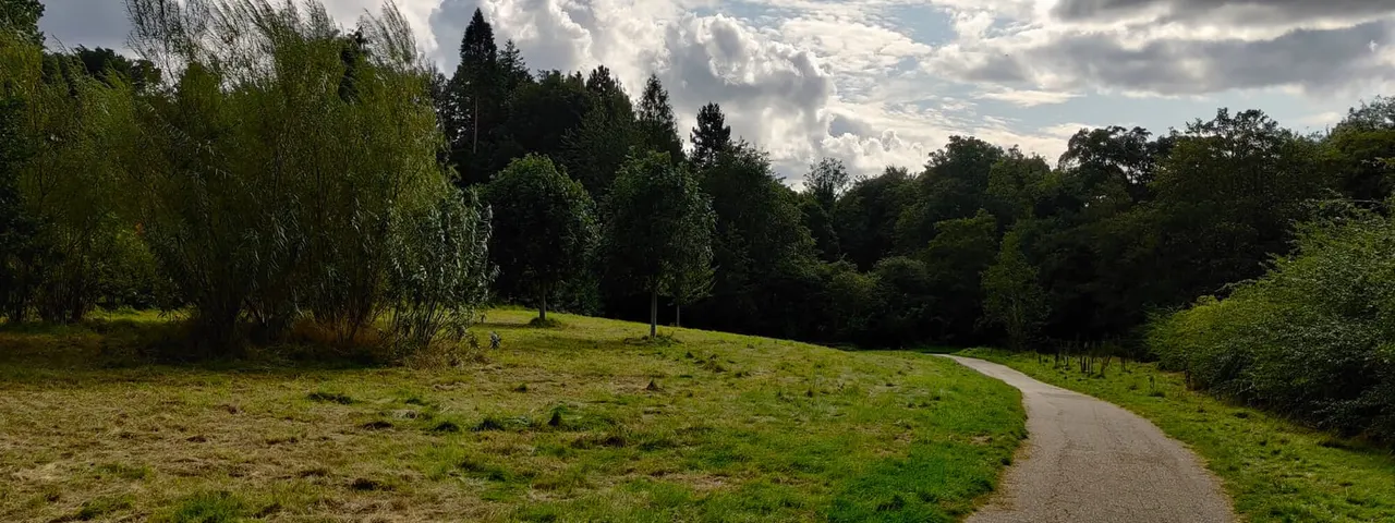 Paved pathway curving through woodland with open grassy clearing, surrounded by mature trees under cloudy sky.