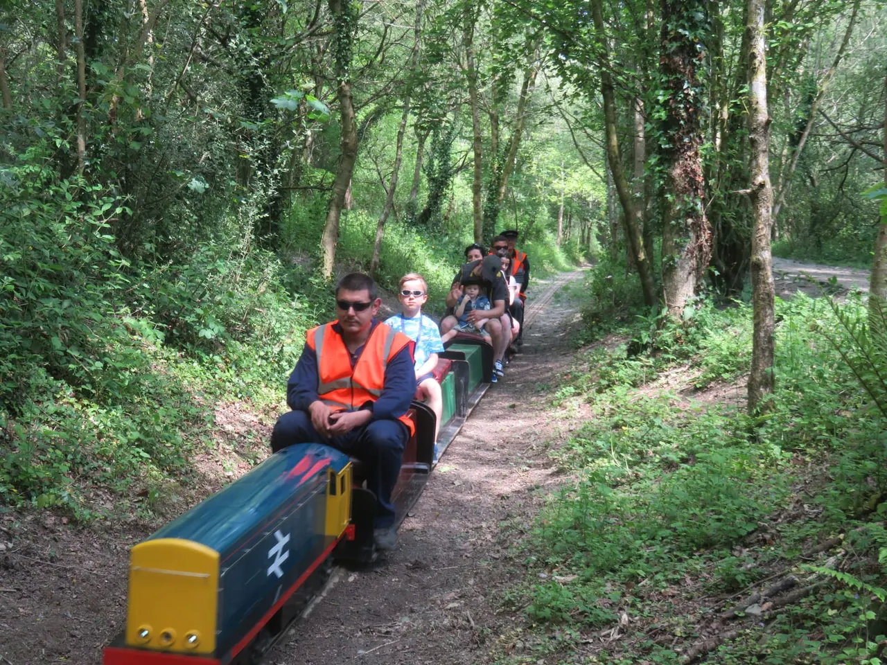 A miniature steam train with passengers travels along a tree-lined woodland track.