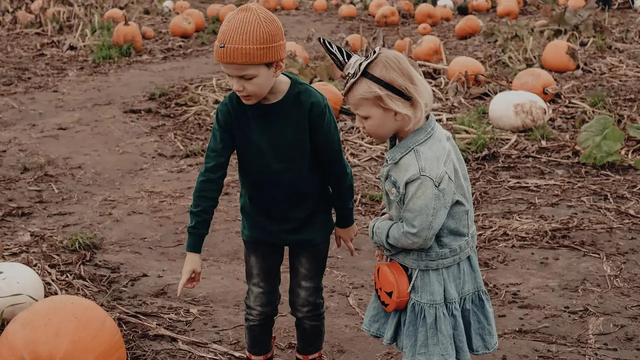 Two young children selecting pumpkins in a field during autumn harvest time.