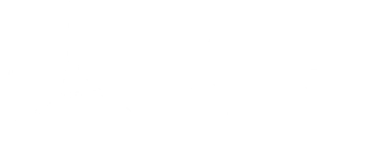 The image appears to be blank or not loading properly. I cannot see any content to describe. Could you please verify the image file and resubmit?