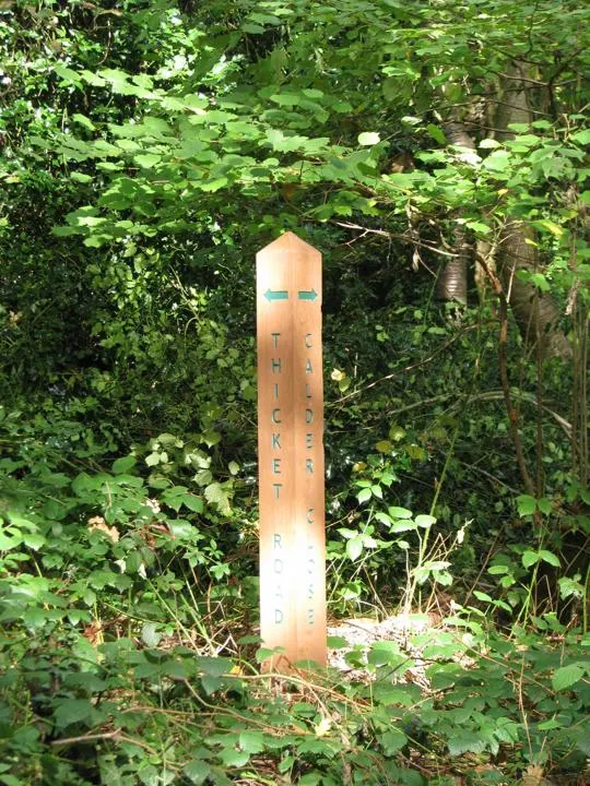 Wooden marker post with "Thicket Pond" text surrounded by dense green woodland vegetation.