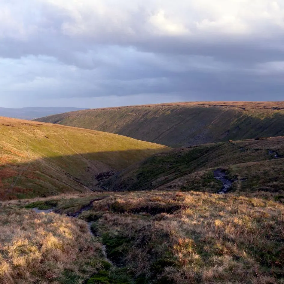 Rolling moorland landscape with a small stream running through heather and grass, with hills and distant valleys under cloudy sky.