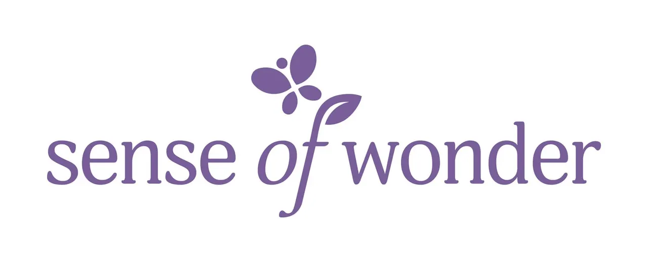 Sense Of Wonder