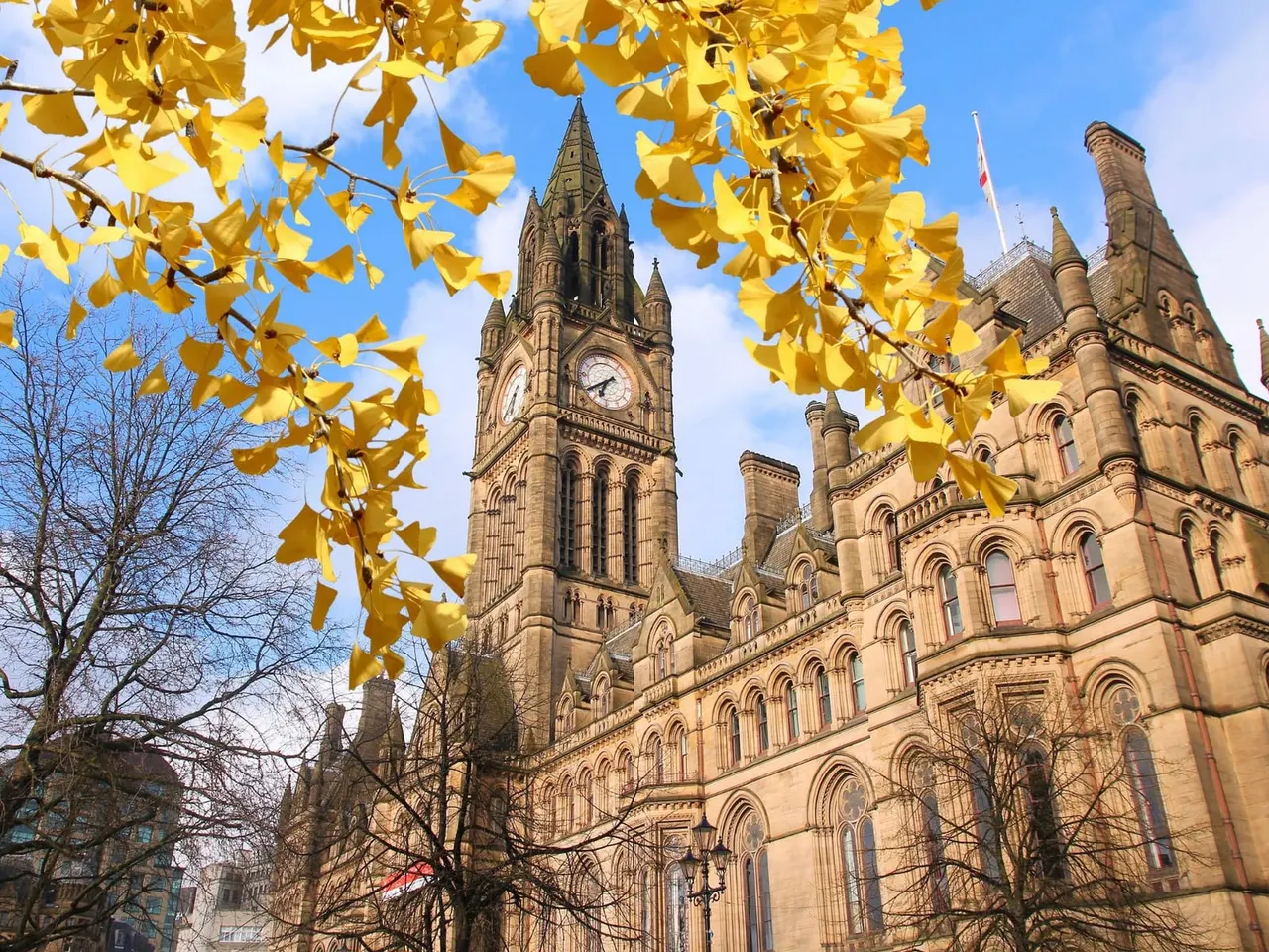 Autumnal ginkgo leaves frame a Victorian stone building with a clock tower and ornate architecture against blue sky.