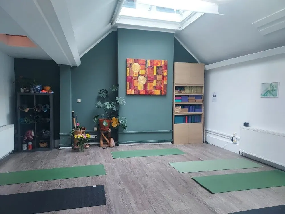 A bright yoga studio with green mats laid out on wooden flooring, teal walls, skylights, shelving, plants and decorative artwork.