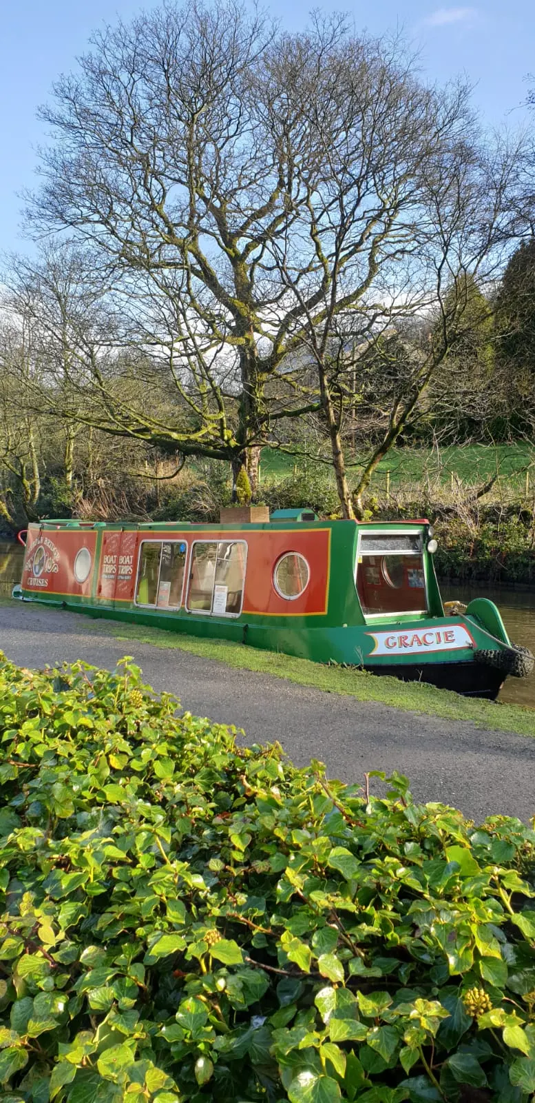A red and green narrowboat moored beside a canal with bare trees and vegetation in the background.