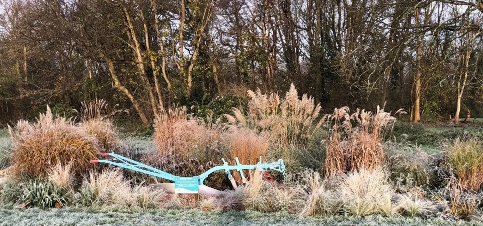 A bright blue curved bench sits amongst ornamental grasses and winter foliage in a wooded garden setting.