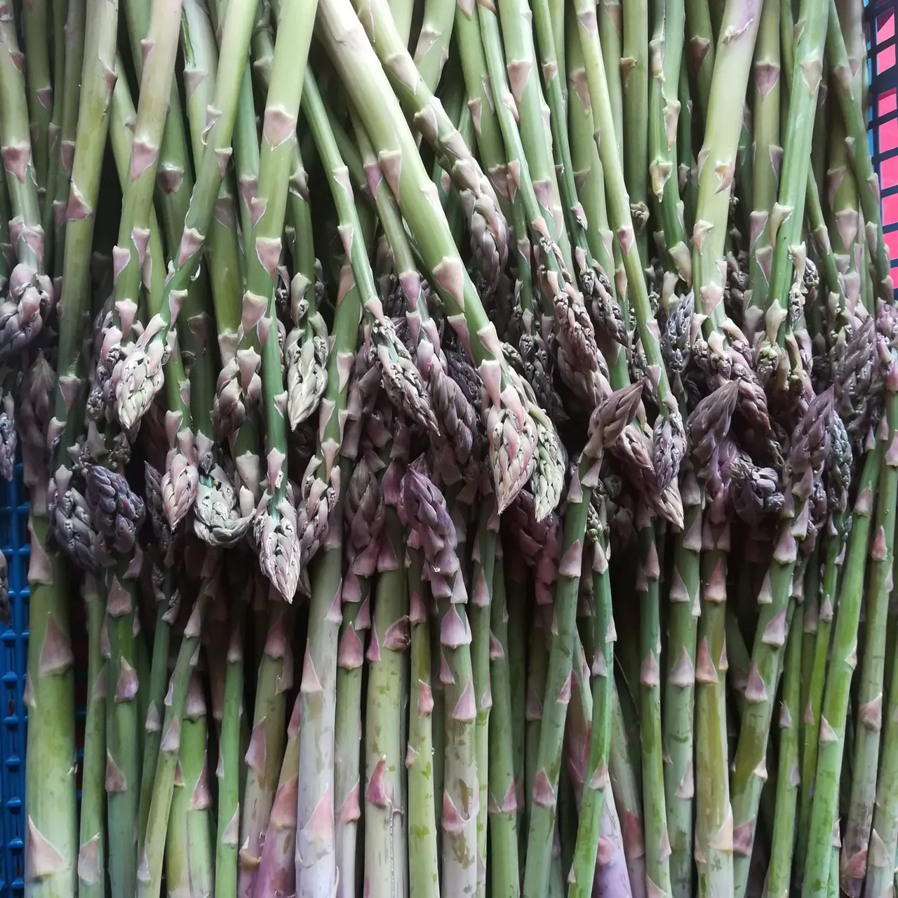 Fresh asparagus close-up from Goacher's Fruit