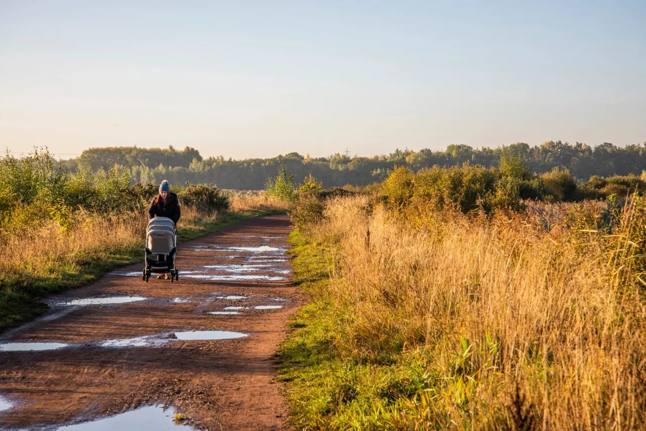 Person pushing a pram along a muddy countryside track lined with golden reeds and autumn vegetation.