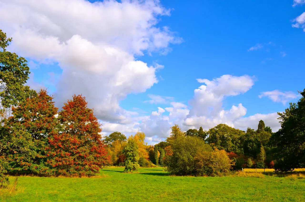 Open parkland with mature trees in autumn colours, green grass and blue sky with white clouds.