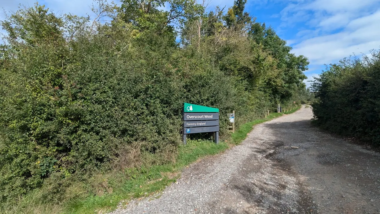 Gravel entrance path to a wooded area with a green Forestry England sign marking Overscourt Wood, surrounded by dense trees and blue sky.