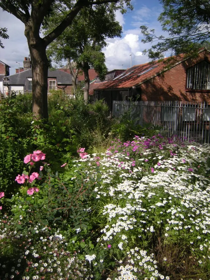 Colourful flower garden with pink and white blooms, mature tree, and brick buildings beyond a fence.
