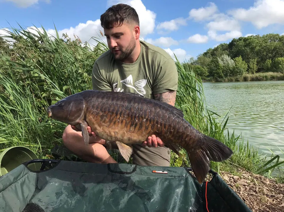 Man holding a large carp he has caught at a fishing lake, with reeds and water behind him.