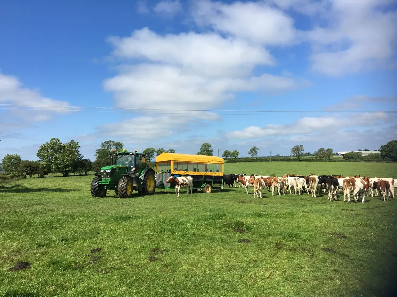 Tractor and trailer ride across the middle field