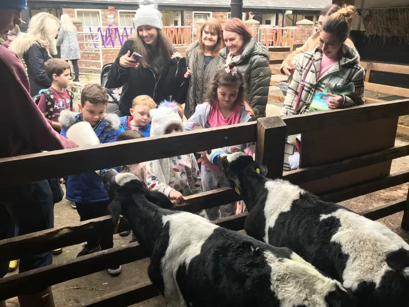 Children and adults feeding and petting goats in a farm enclosure.