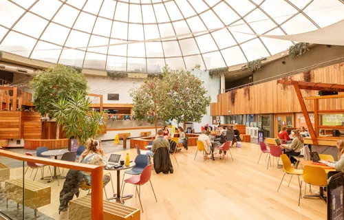 Library Bar
