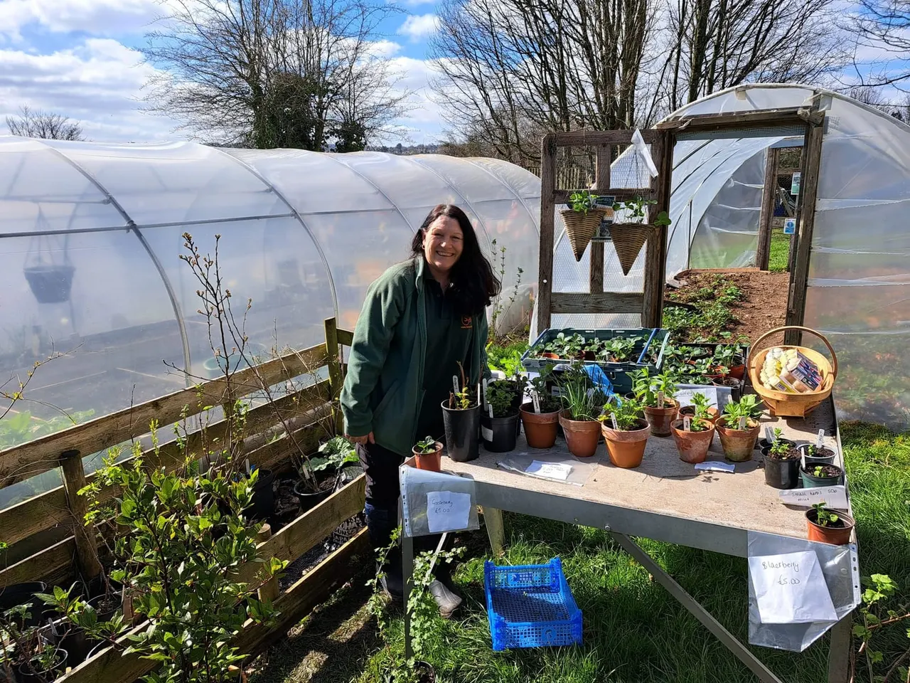 Woman selling seedlings and plants at a table outside greenhouses on a community farm.