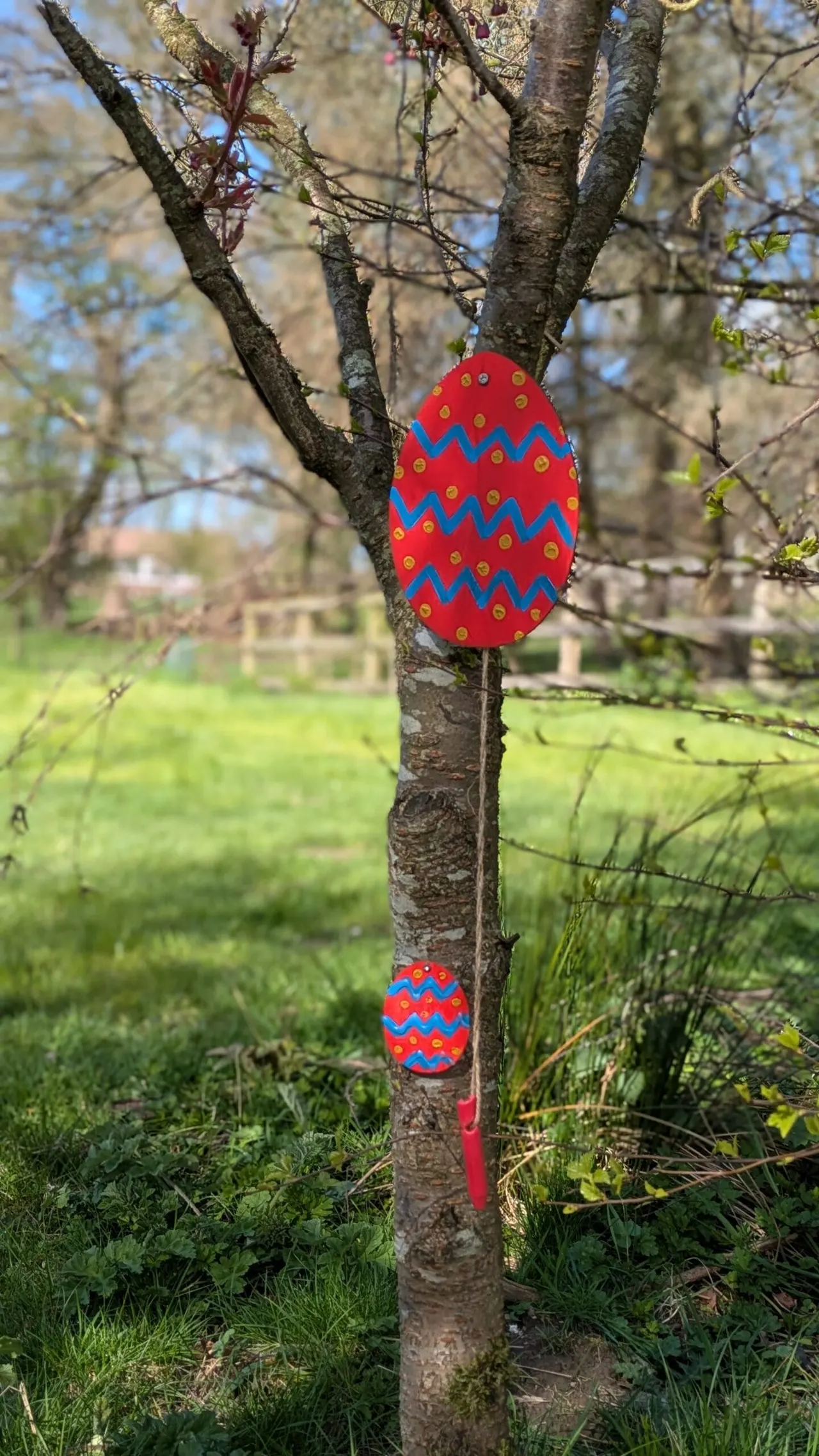 Decorated Easter eggs hanging from a tree branch in a grassy outdoor area.