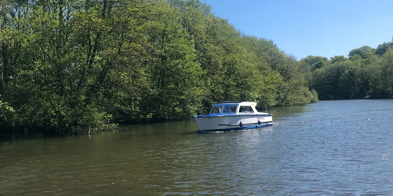 Small motor cruiser moored in calm water among dense green trees under clear blue sky.