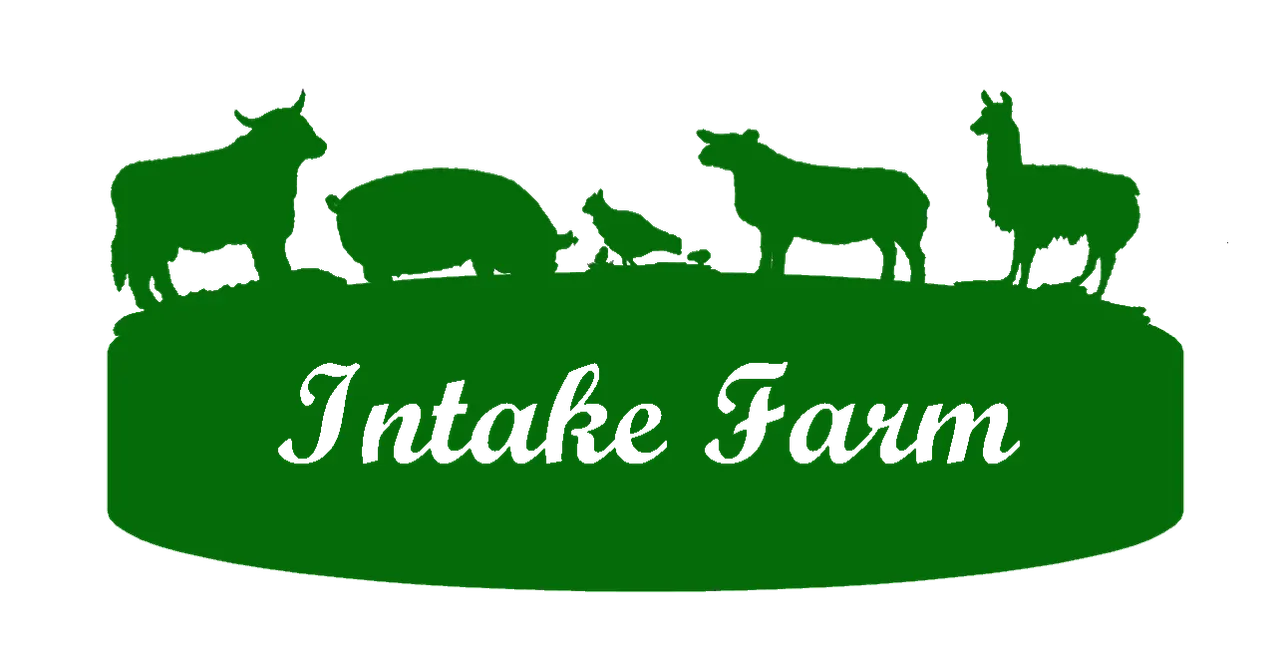 Intake Farm Campsite