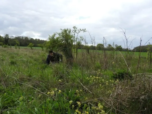 Person working in overgrown pasture with wildflowers and dead wood under cloudy sky.