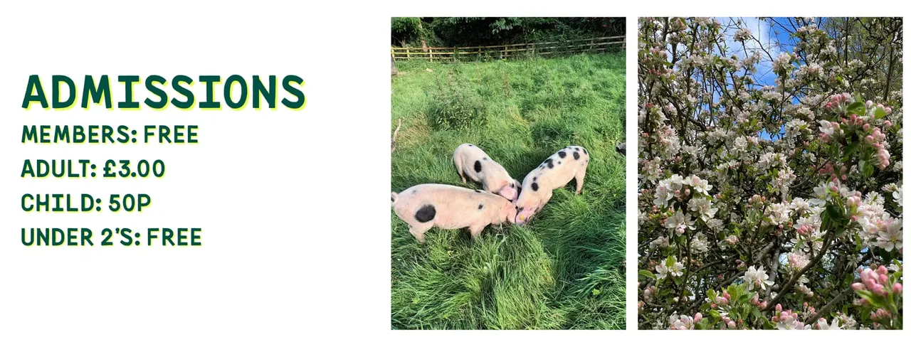 Meanwood Valley Urban Farm