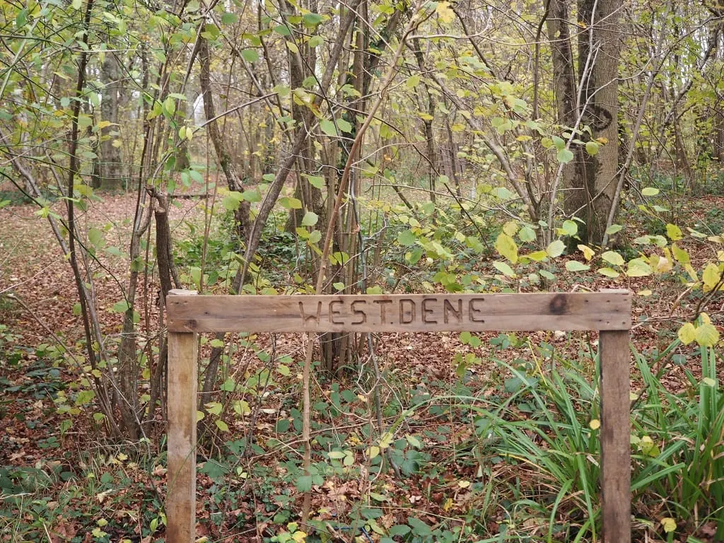 Wooden signpost marked "WESTBENE" in a woodland area with bare and leafy trees, fallen leaves and undergrowth.