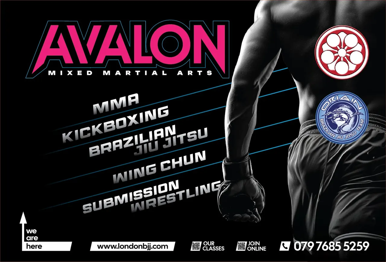 AVALON Mixed Martial Arts Academy - MMA, BJJ, Wing Chun