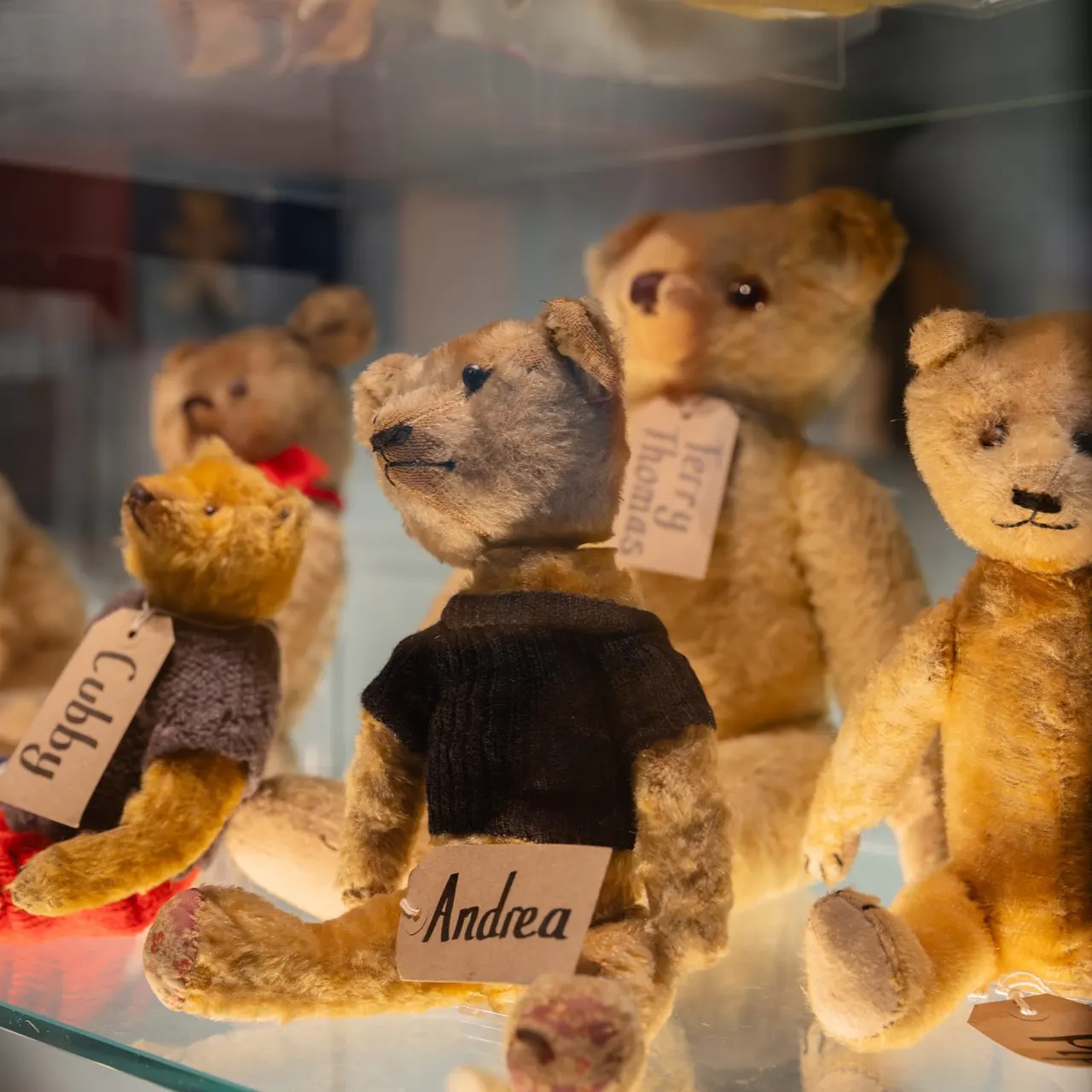 Collection of vintage teddy bears displayed in a glass case, each with a name label.