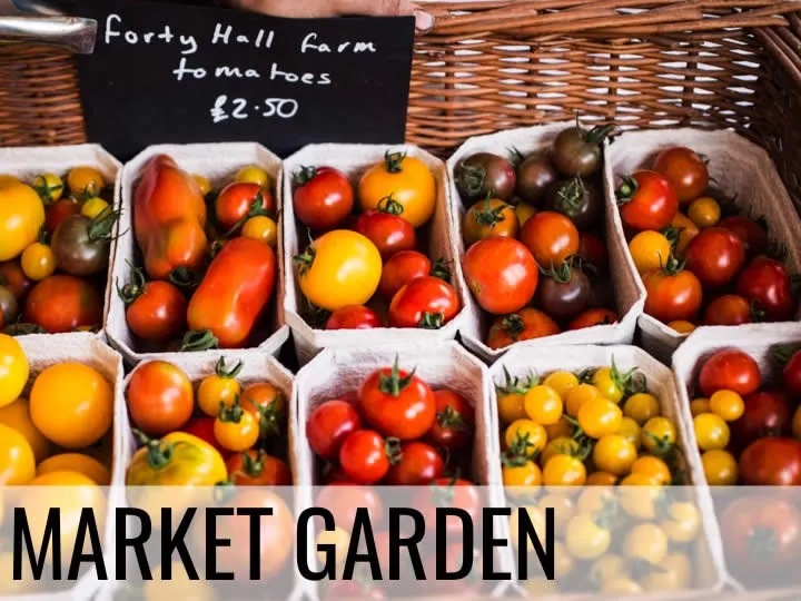 Various coloured tomatoes in white cardboard trays at a farm market stall, priced at £2.50.