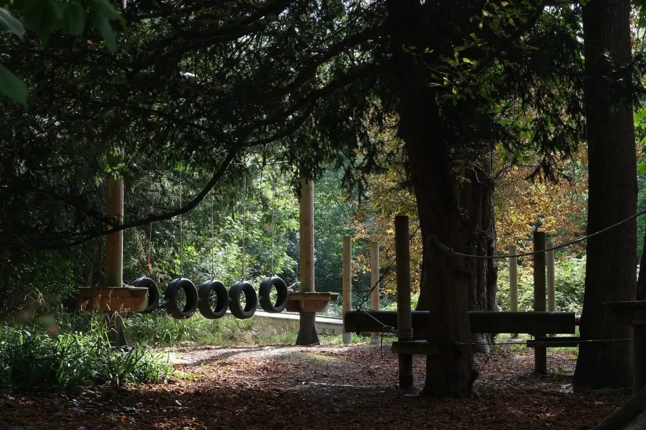 Outdoor play area beneath tall trees with tyre swing and wooden climbing equipment on bark mulch ground.