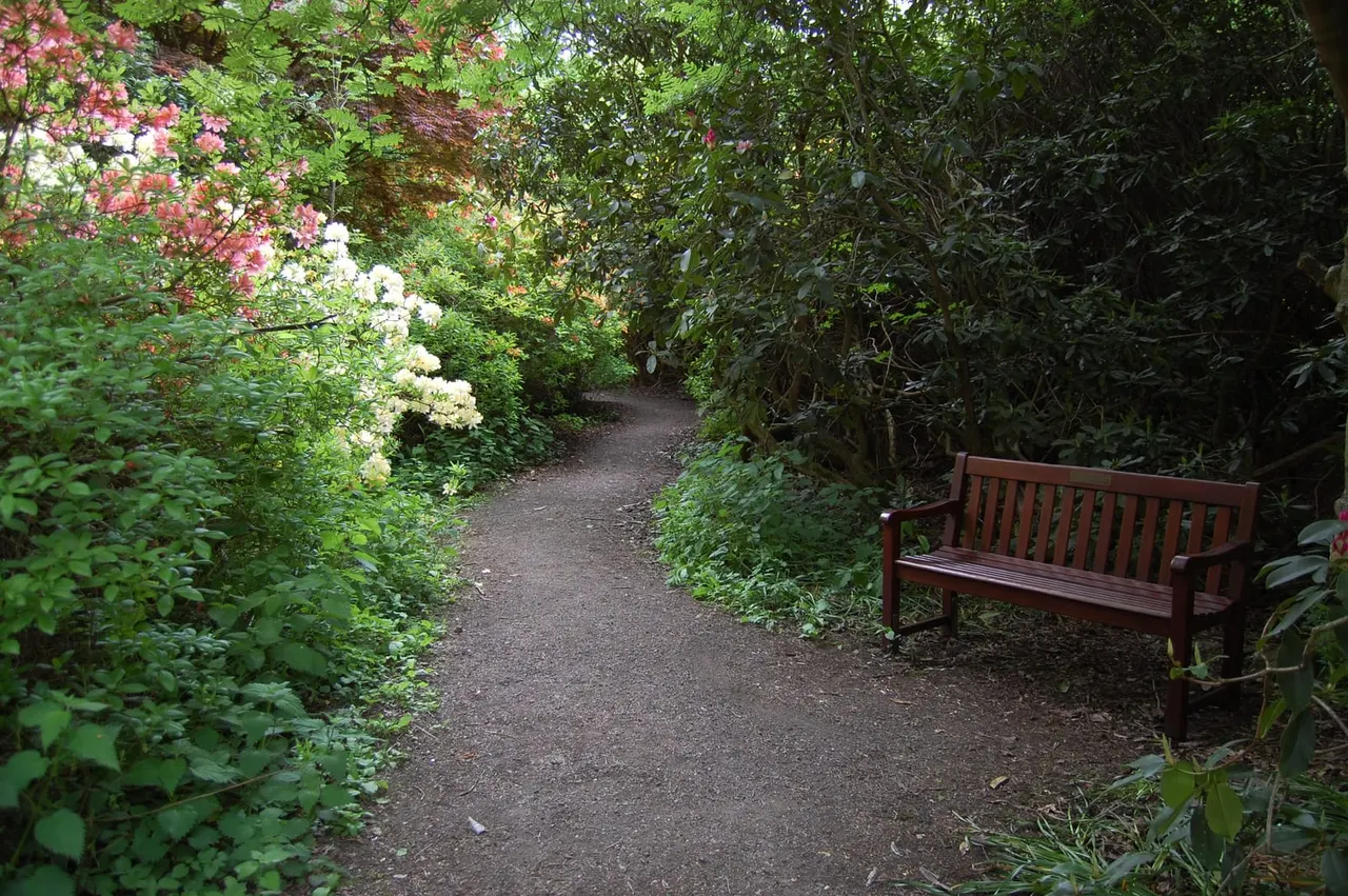 A wooden bench sits beside a gravel garden path lined with lush flowering shrubs and overhanging trees.